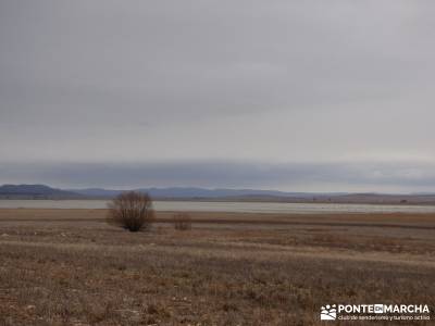 Hoces y cañones del Río Gallo - Laguna de Gallocanta;rutas senderismo aracena